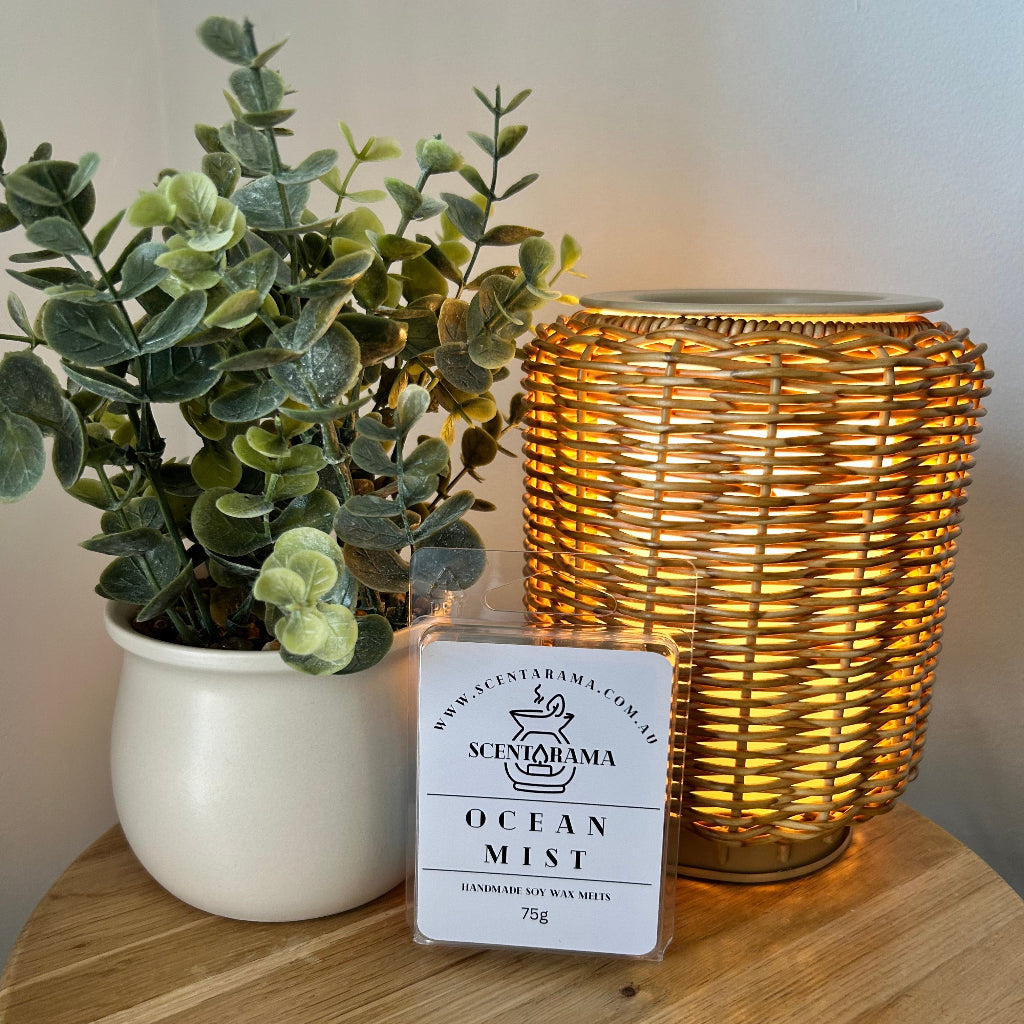 Ocean Mist Clamshell Soy Wax Melt Image with wicker warmer