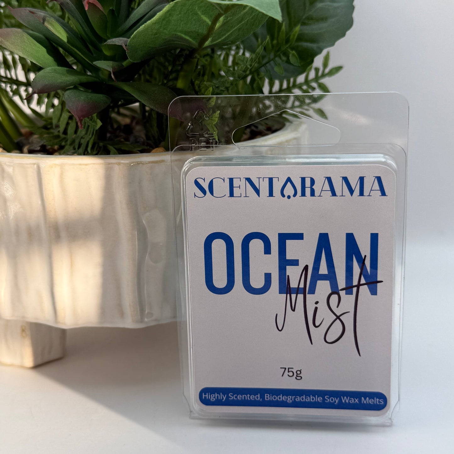 A Scentarama Ocean Mist 75g package of soy wax melts standing upright on a white surface, with a potted green plant in the background.