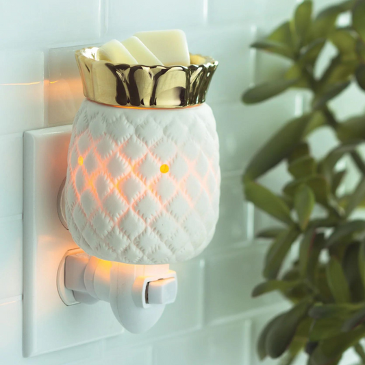 Pineapple Pluggable Warmer