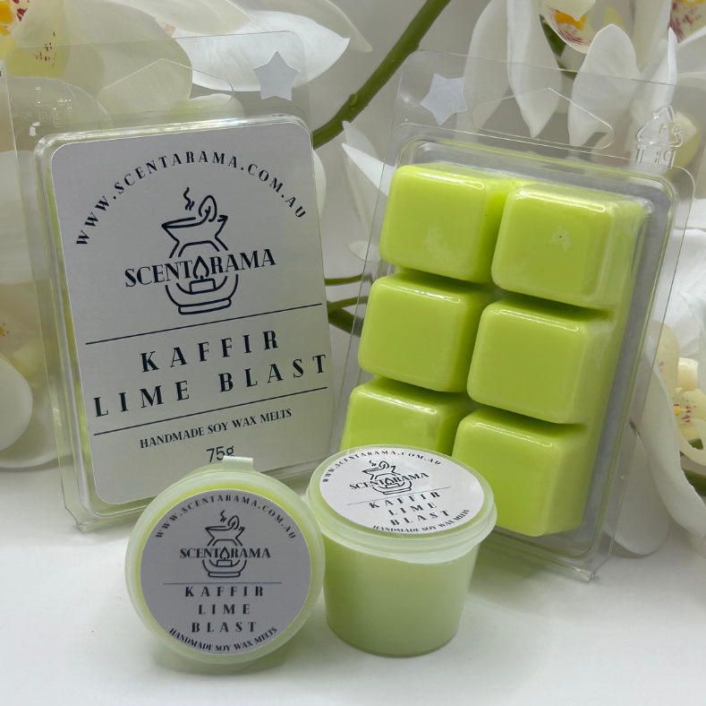 Zesty Lime Blast Mini Pot and Clamshell Soy Wax Melts
