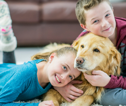 Are Wax Melts Safe for Dogs, Cats and Kids? What Australian Pet Owners Need to Know
