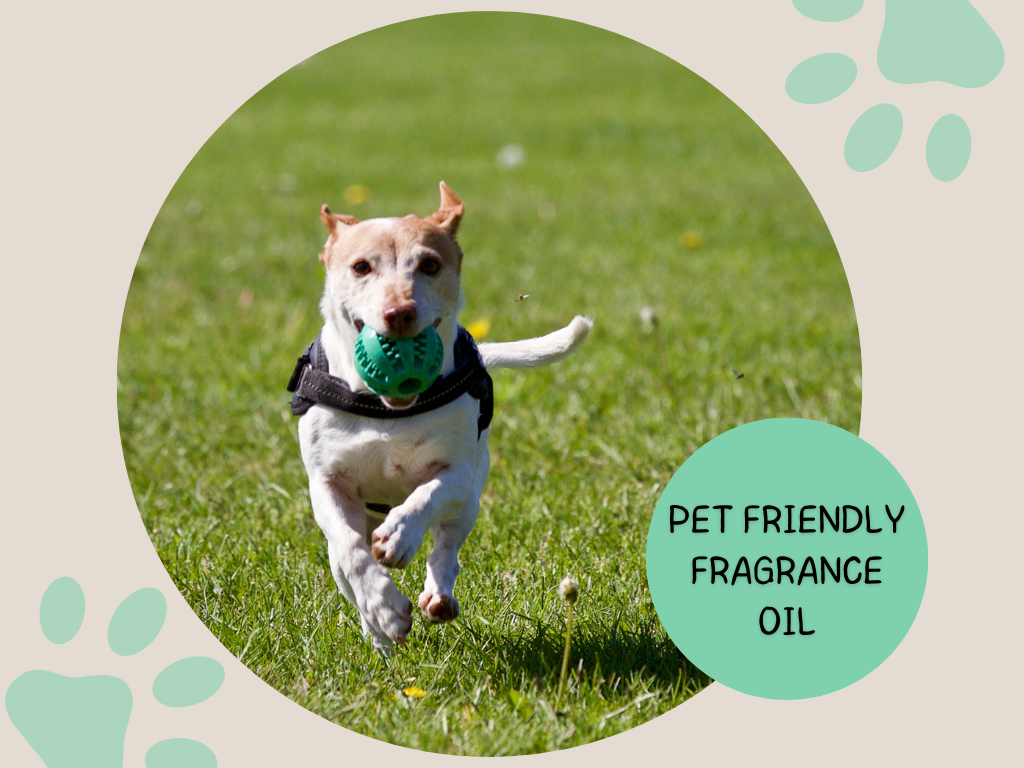 Why Choose Scentarama Wax Melts?