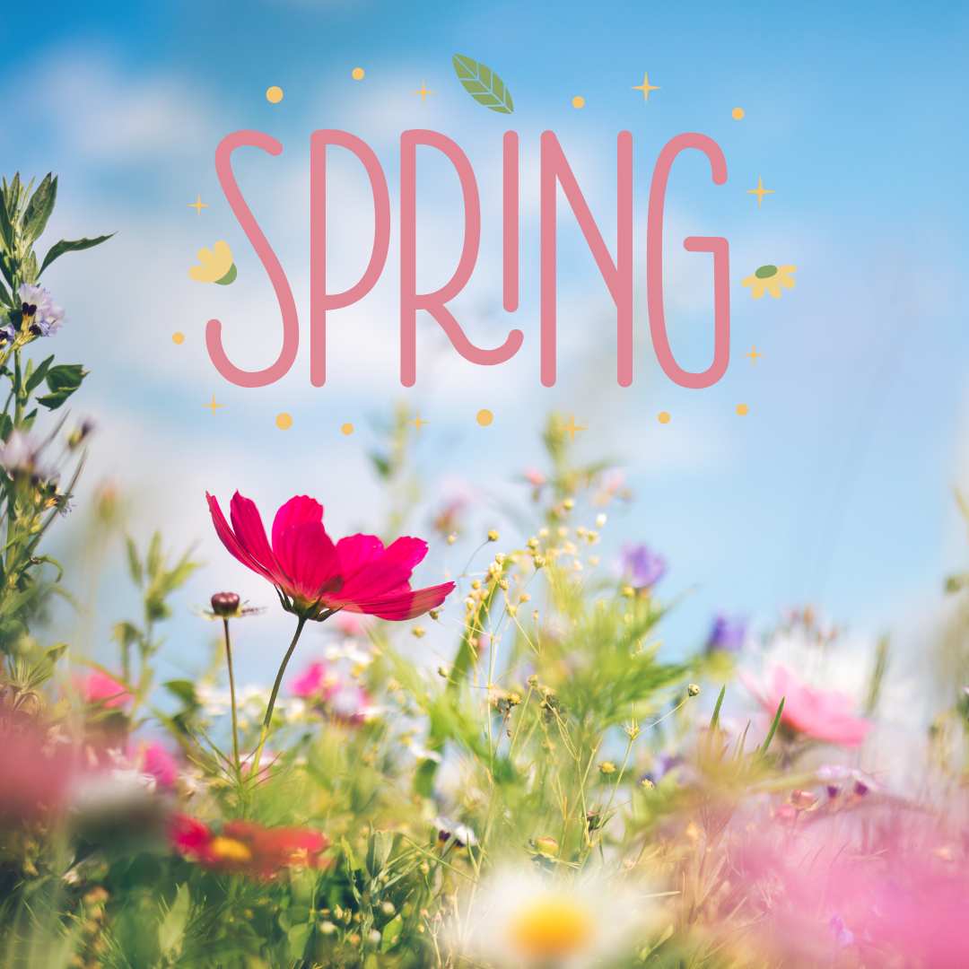 Welcome Spring: The Best Home Fragrances for the New Season (Plus 6 Brand New Scents!)