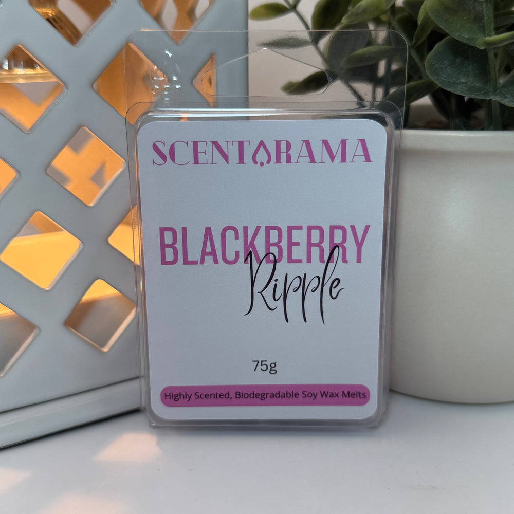 Blackberry Ripple soy wax melts by Scentarama product photo that is propped up against a potted plant and lantern wax melt warmer 