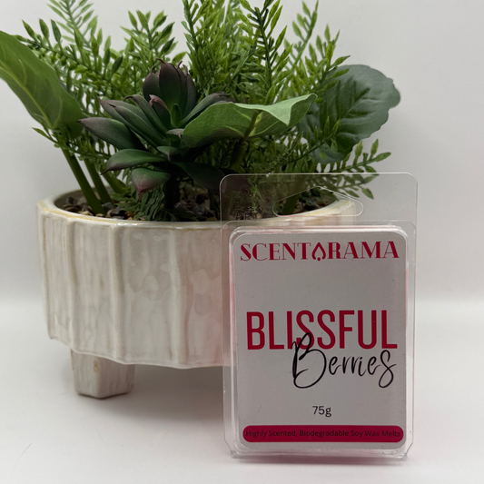 A Scentarama Blissful Berries 75g wax melt package in a clear clamshell container, positioned in front of a potted green succulent in a white textured pot against a plain white background.