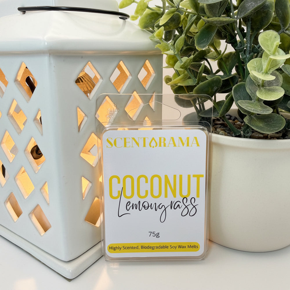 Coconut Lemongrass Soy Wax Melts By Scentarama Product Photo propped up against a warmer and a potted plant
