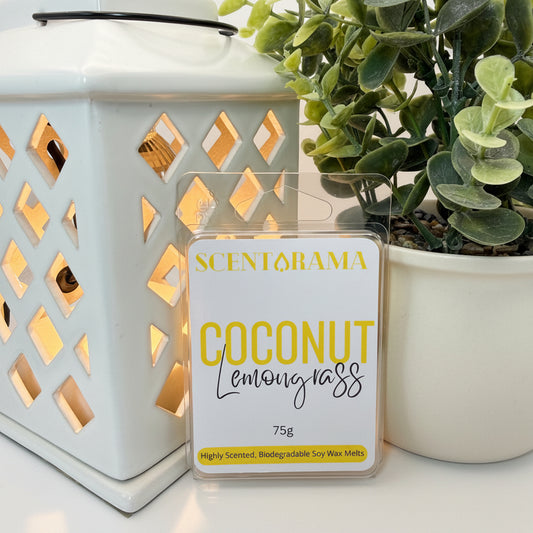 Coconut Lemongrass Soy Wax Melts By Scentarama Product Photo propped up against a warmer and a potted plant
