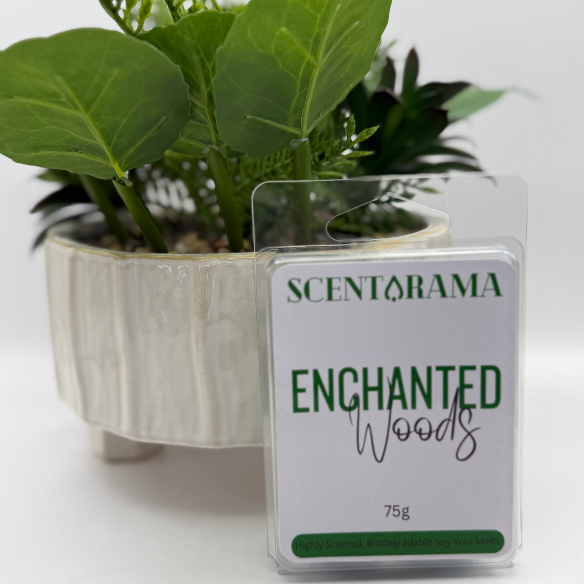 A Scentarama Enchanted Woods scented wax melt pack in a clear plastic clamshell container, positioned in front of a potted green plant on a white surface.