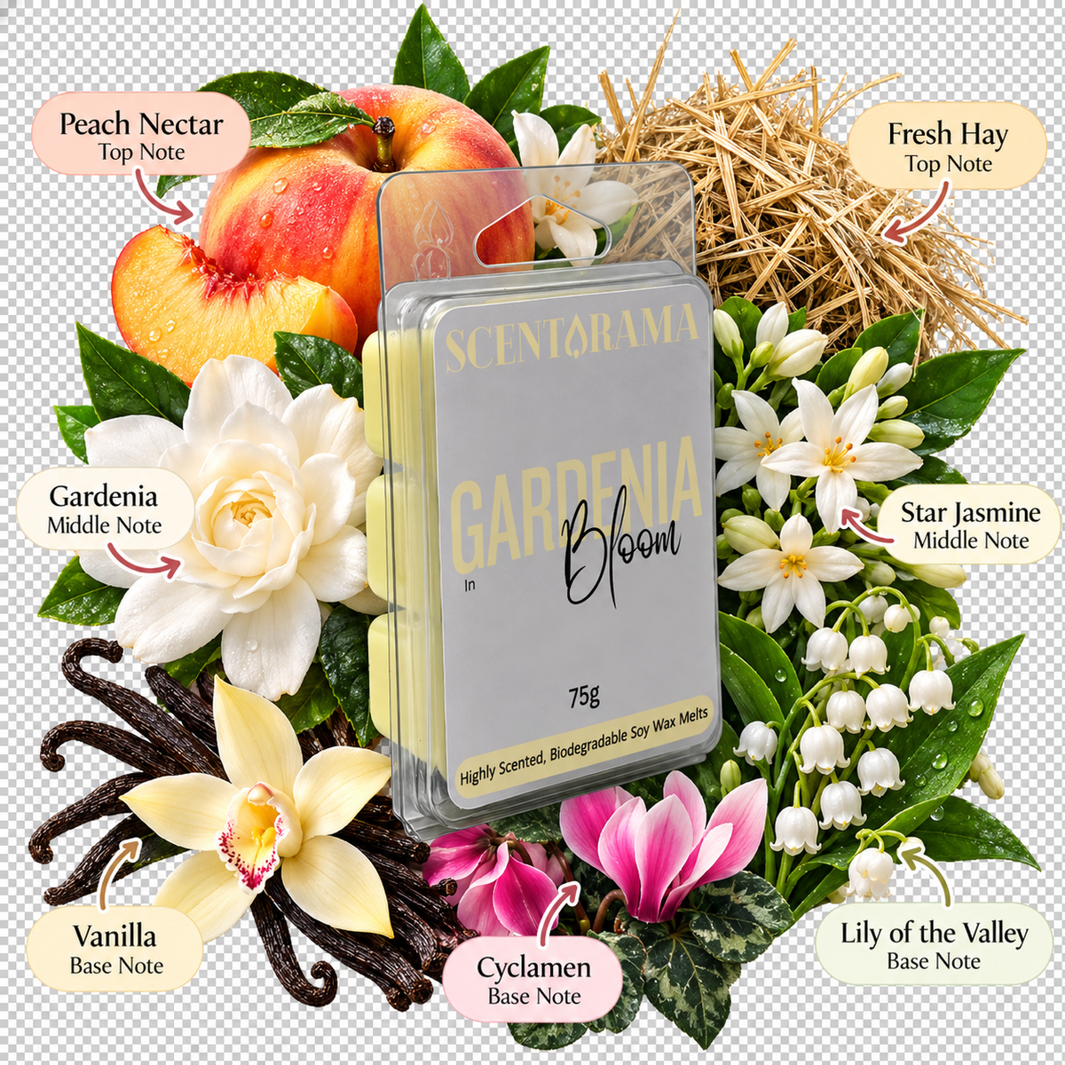 Gardenia in Bloom Soy Wax Melts