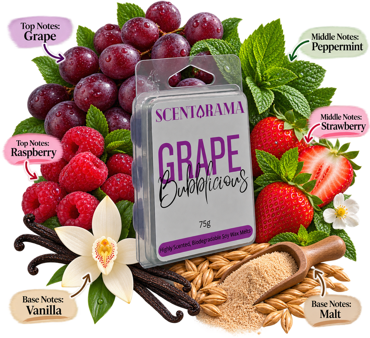 A packaged Scentarama Grape Bubblicious fragrance wax melt sits in the center of a styled fruit and spice composition on a white background. The package is surrounded by grape clusters, raspberries, strawberries, vanilla beans, oats, and mint leaves, with callout labels naming top notes, middle notes, and base notes.