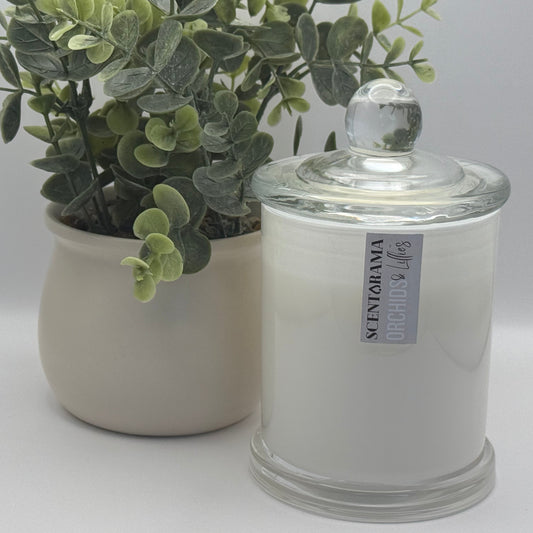 Glass candle jar with a plant on a white background