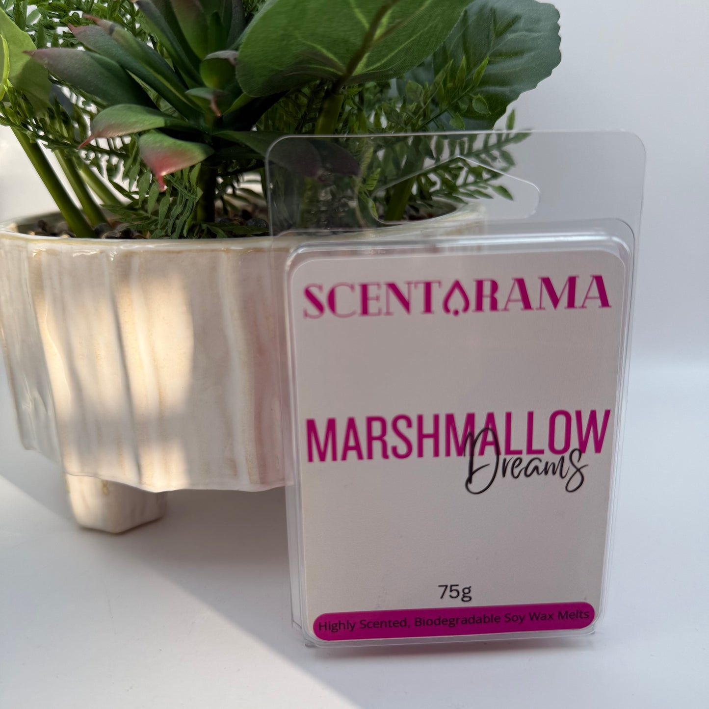 A 75g package of Scentarama Marshmallow Dreams soy wax melts stands in front of a potted green plant on a white surface. The packaging is clear plastic with a white label featuring pink and black text.