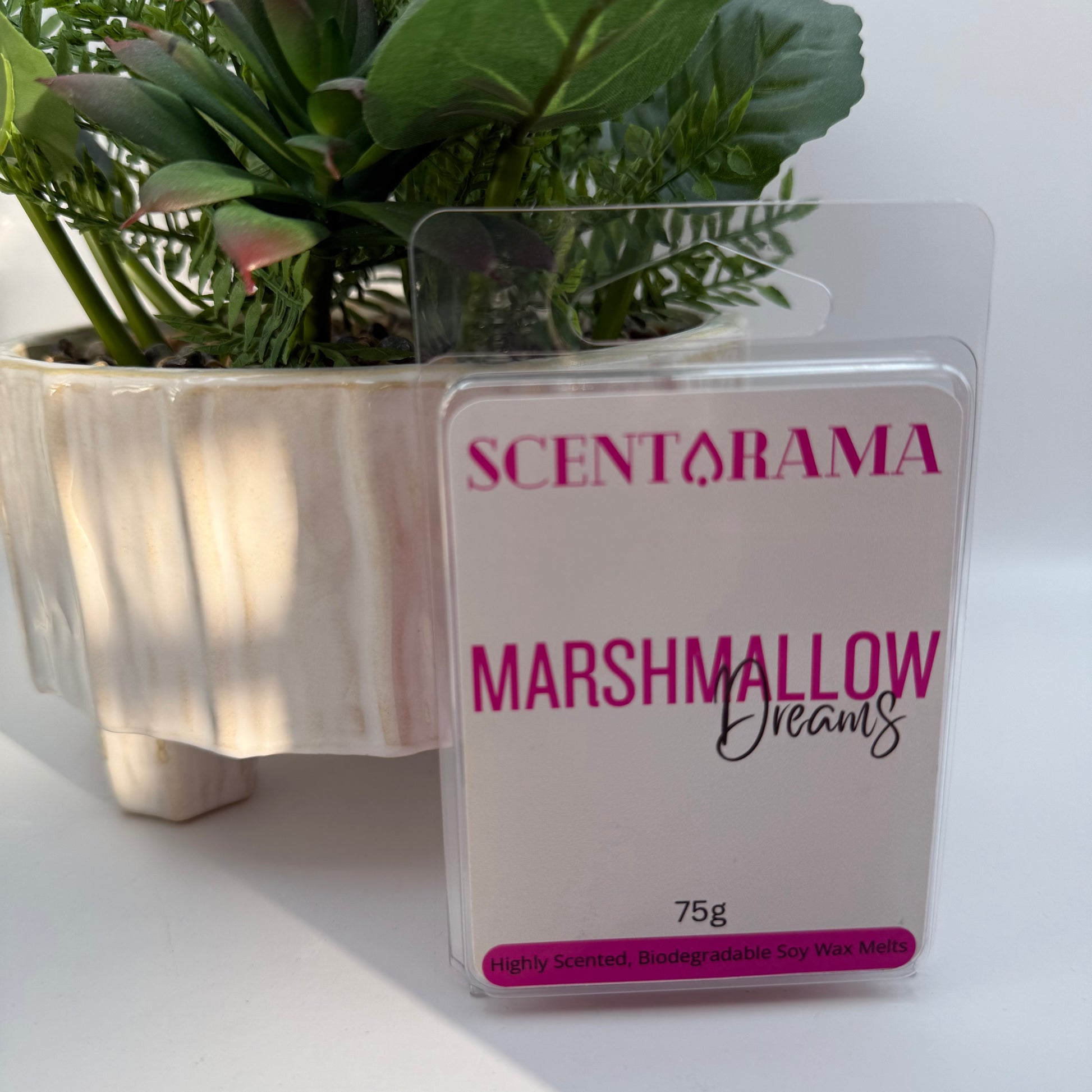 A 75g package of Scentarama Marshmallow Dreams soy wax melts stands in front of a potted green plant on a white surface. The packaging is clear plastic with a white label featuring pink and black text.