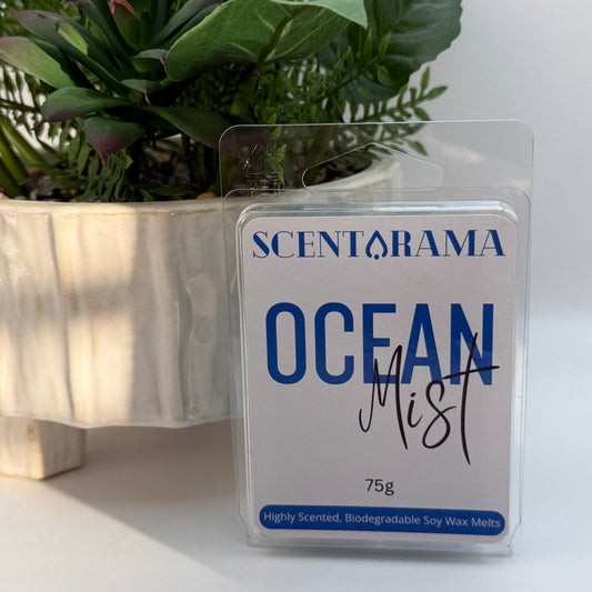 A Scentarama Ocean Mist 75g package of soy wax melts standing upright on a white surface, with a potted green plant in the background.