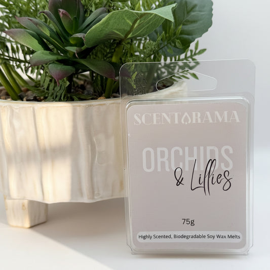 A package of Scentarama Orchids & Lilies soy wax melts stands in front of a potted green plant on a white surface. The package is clear plastic with a light beige insert card showing the scent name and weight.