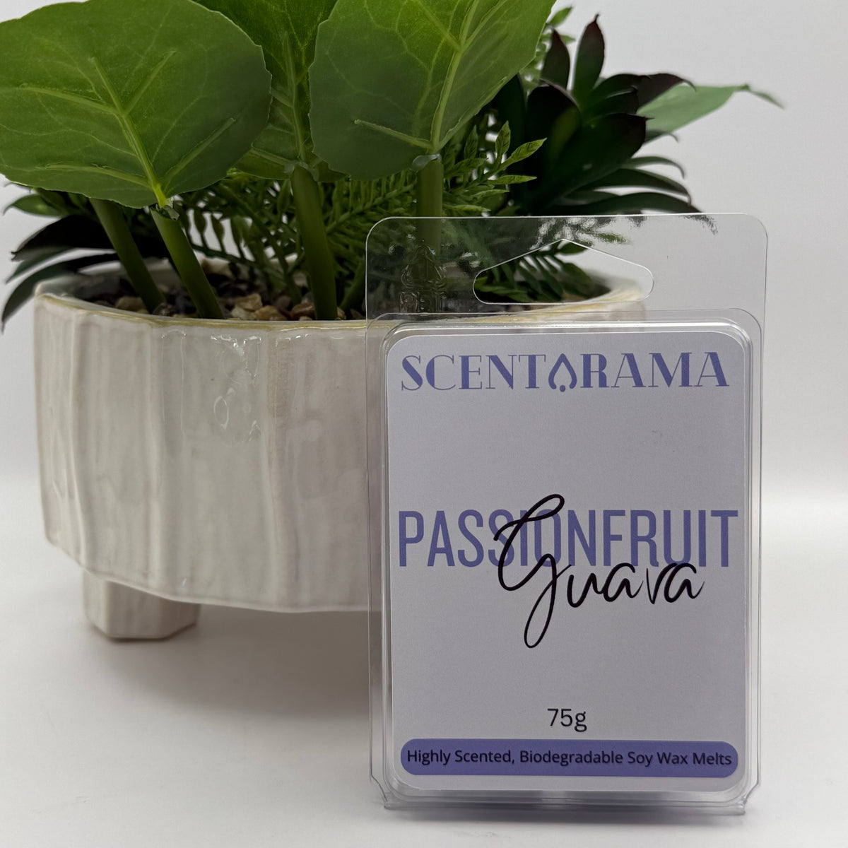 A Scentarama Passionfruit Guava scented wax melt in a clear plastic clamshell package, displayed in front of a potted green plant on a white background.