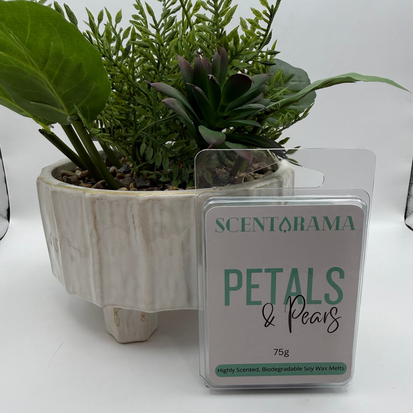 A Scentarama Petals & Pears soy wax melt in its clear plastic clamshell packaging, displayed in front of a faux green plant in a textured white ceramic pot on a white surface.