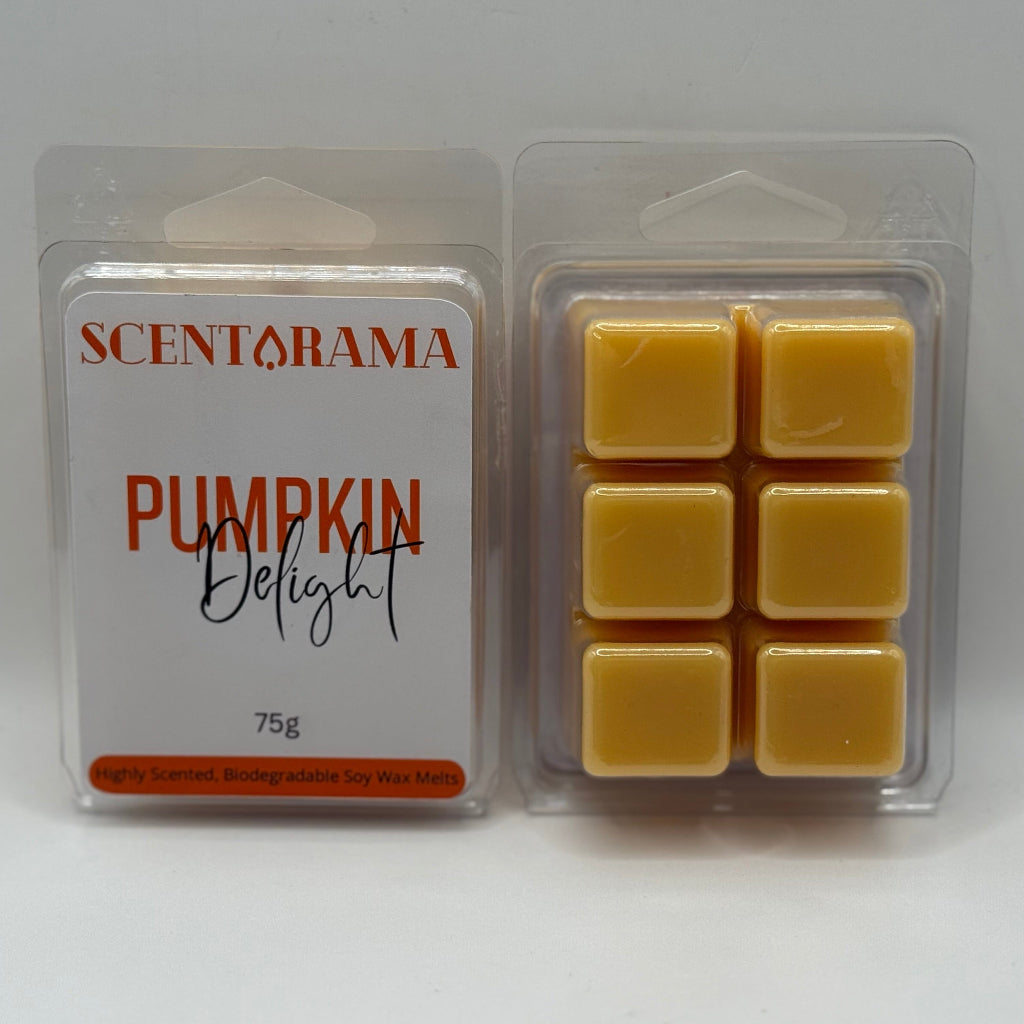 Pumpkin Delight soy wax melt clamshell product photo