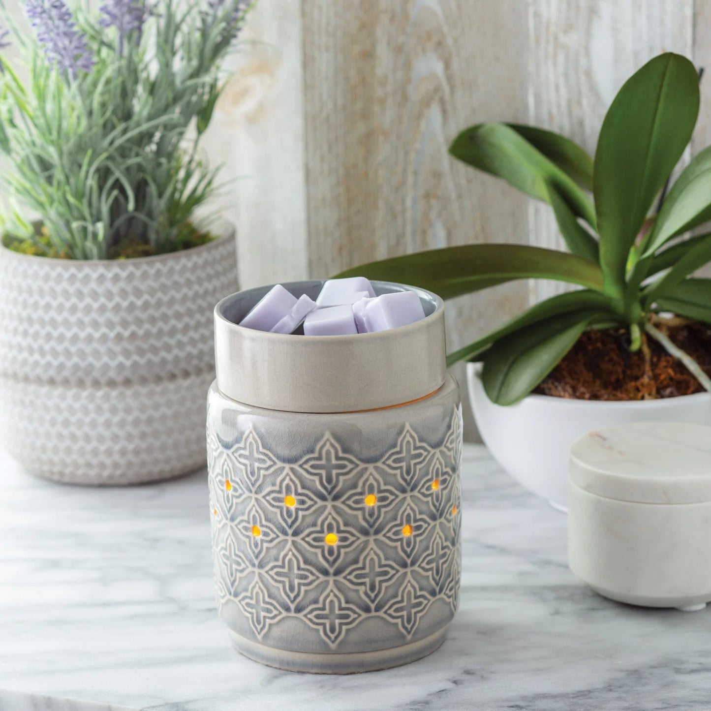 Jasmine Illumination Warmer
