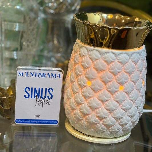 SinusReliefSoyWaxMeltClamshellPhoto