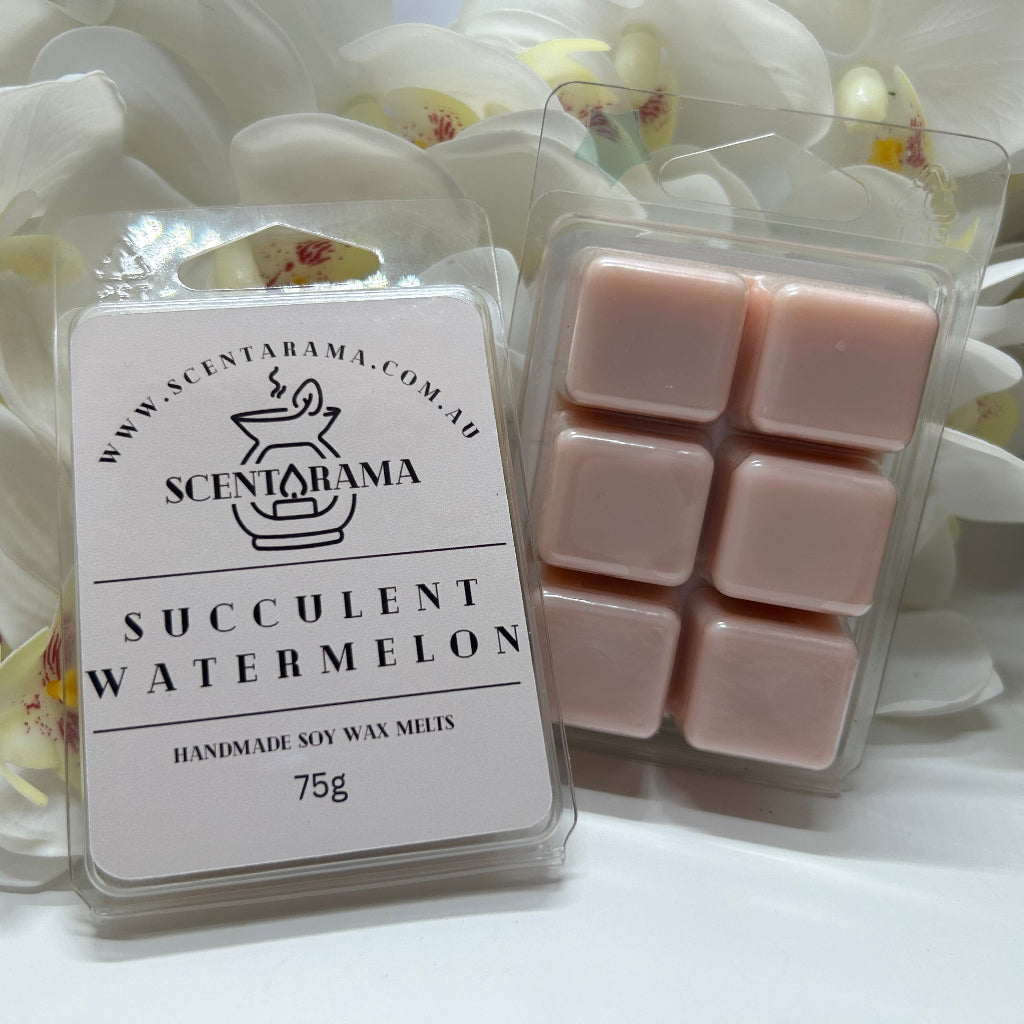 Succulent Watermelon Soy Wax Melt Clamshell product photo