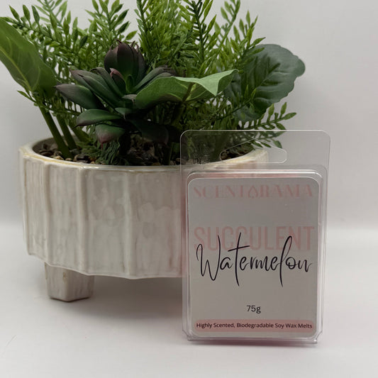 A package of Scentarama Succulent Watermelon soy wax melts stood in front of a potted green succulent and ferns on a white background.