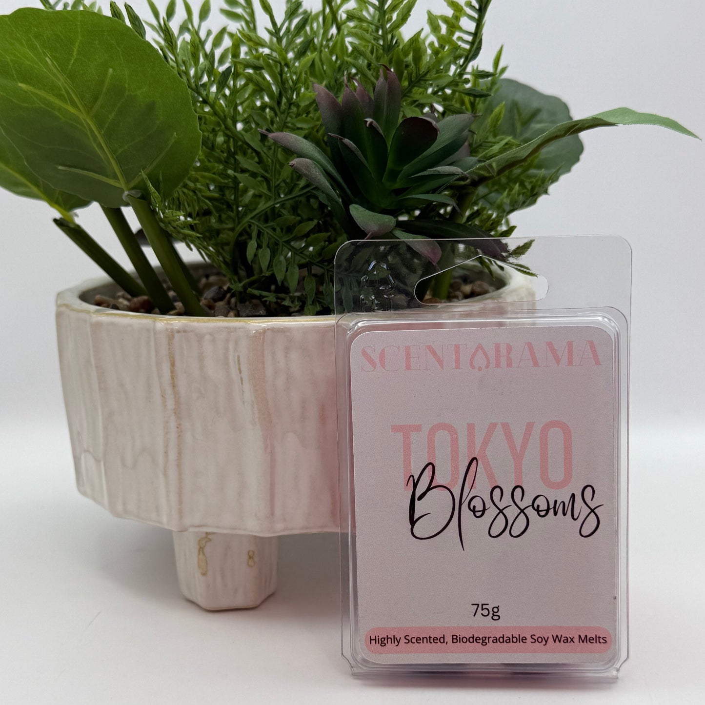 A 75g pack of Scentarama Tokyo Blossoms soy wax melts in a clear clamshell package, displayed next to a white textured planter with green plants on a white surface against a white background.