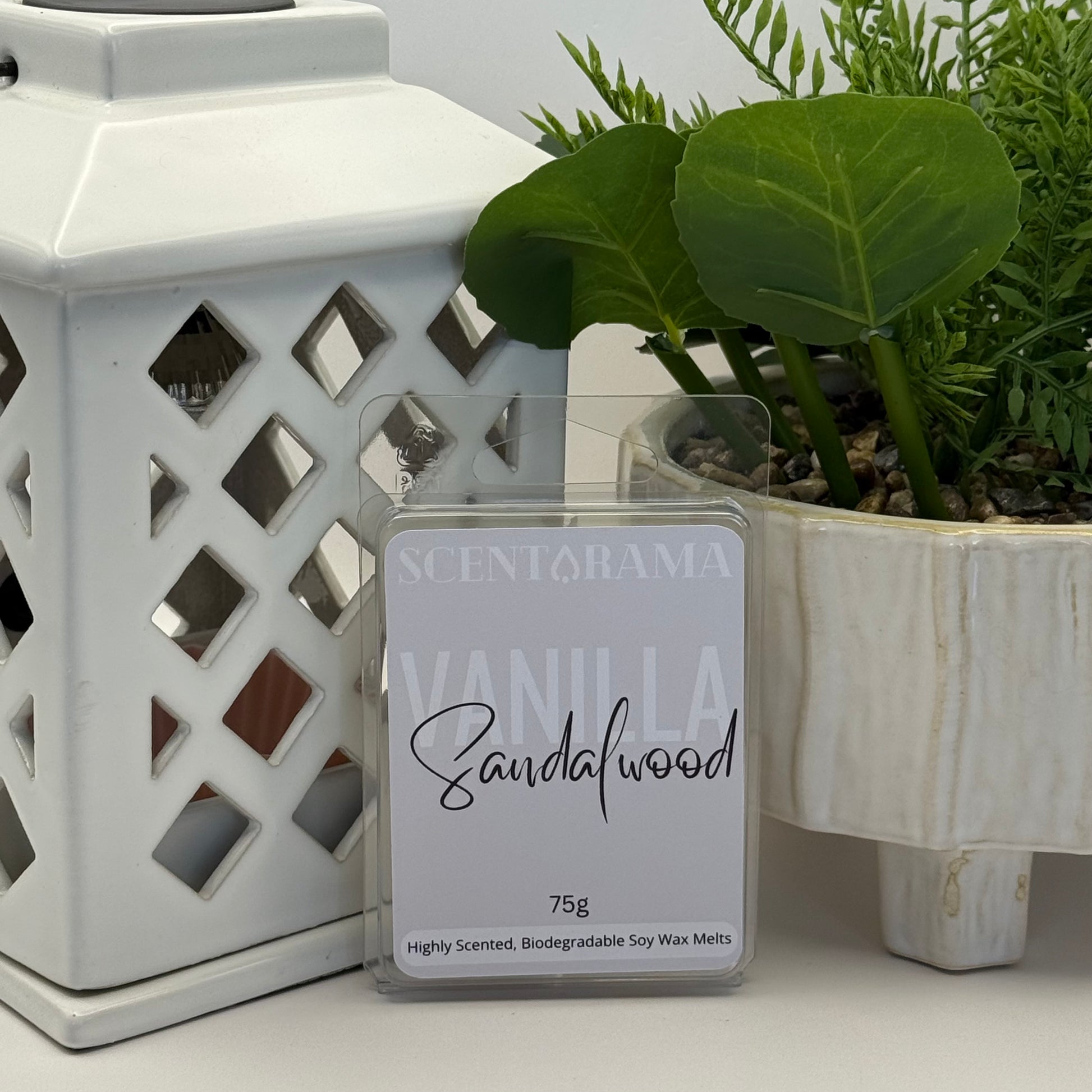 Scentchoma Vanilla Sandalwood wax melt with a white lattice-patterned candle holder and a plant in the background.