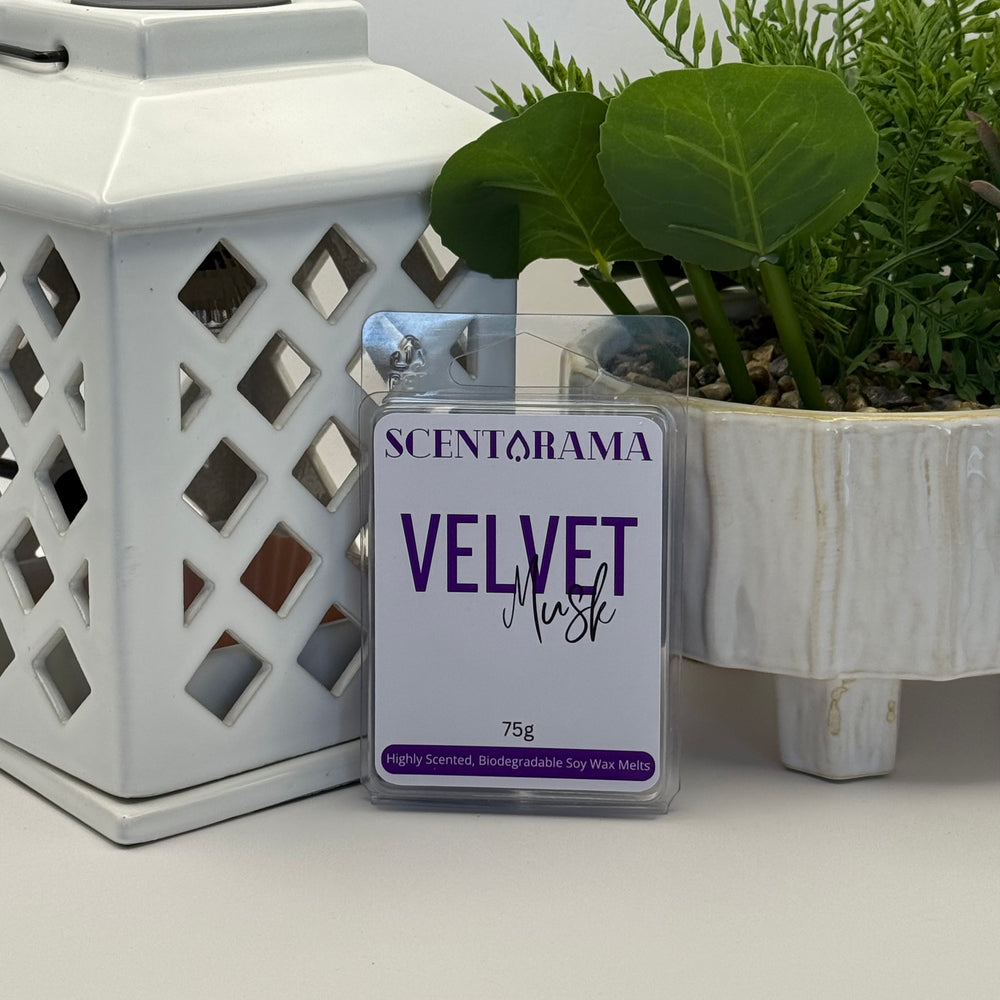 Scentarama Velvet Musk wax melt packaging with a white lantern and plant in the background