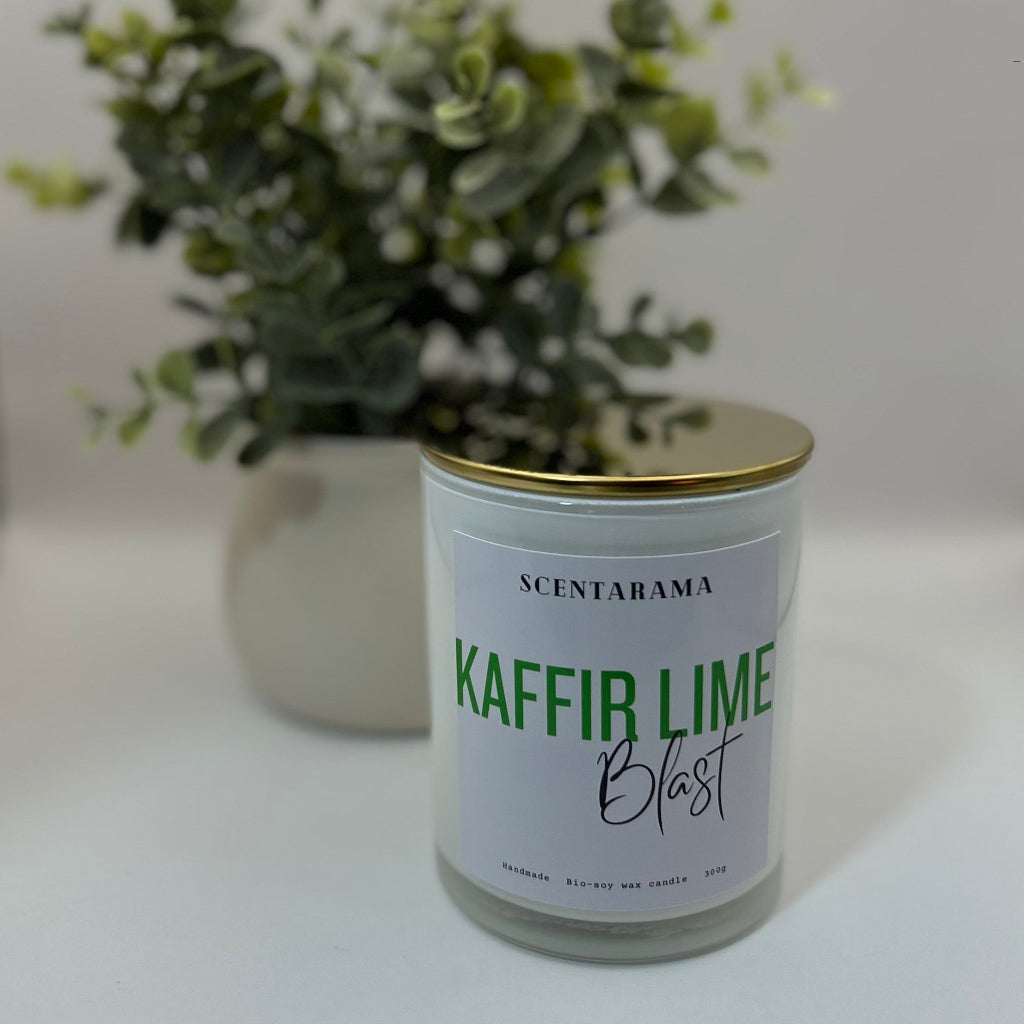 Zesty Lime Blast Candle 300g