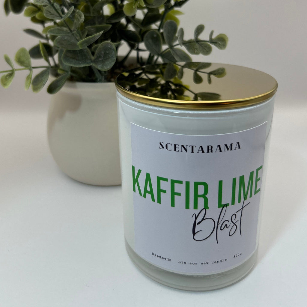 Zesty Lime Blast Candle 300g